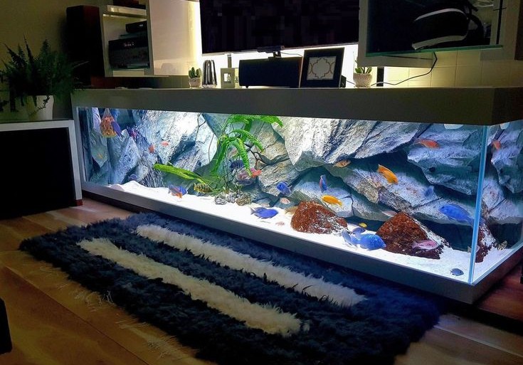 Colorful exotic fish swimming in deep blue water aquarium with green tropical plants