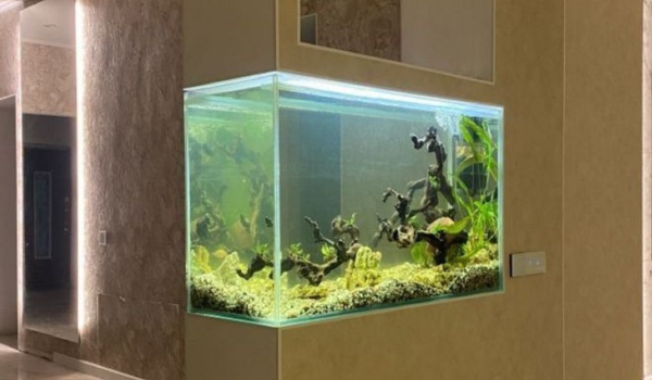 Vastu Aquarium In Gurgaon, Noida, Delhi NCR